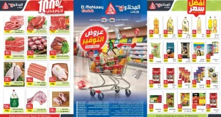 عروض المحلاوى ماركت من 29 سبتمبر حتى 13 أكتوبر 2025 خصومات التوفير