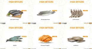 عروض فتح الله ماركت من 18 سبتمبر حتى 27 سبتمبر 2025 عروض الاسماك