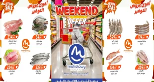 عروض اولاد المحلاوى من 9 اكتوبر حتى 11 اكتوبر 2025 الويك اند