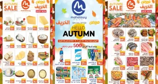 عروض اولاد المحلاوى من 24 اكتوبر حتى 2 نوفمبر 2025 خصومات الخريف