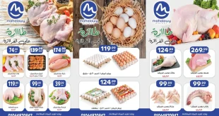 عروض اولاد المحلاوى من 17 نوفمبر 2025 طازة ع الفرازة