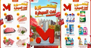 عروض المحلاوى ستورز من 14 نوفمبر حتى 16 نوفمبر 2025 فرع المنصورة فقط