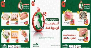 عروض بنده مصر من 25 ديسمبر حتى 27 ديسمبر 2025 الويك اند