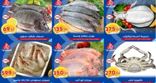 عروض المحلاوى ماركت من 17 ديسمبر حتى 21 ديسمبر 2025 عروض الاسماك