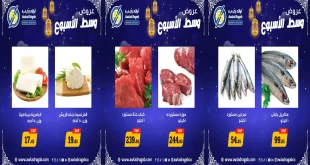 عروض اولاد رجب اليوم الاثنين و الثلاثاء 26 و 27 يناير 2026 وسط الاسبوع