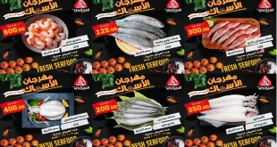 عروض المحلاوى ماركت اليوم الثلاثاء 13 يناير 2026 عروض الاسماك
