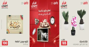 عروض رنين اليوم الثلاثاء والاربعاء 3 و 4 فبراير 2026 ديكورات بيتك
