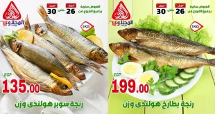 عروض المحلاوى ماركت رنجة هولندى 26 – 30 ابريل 2026