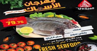 عروض المحلاوى ماركت 16 - 17 ابريل 2026 مهرجان الاسماك