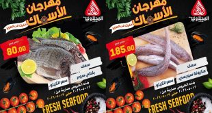 عروض المحلاوى ماركت مهرجان الأسماك الثلاثاء و الأربعاء 12 – 13 مايو 2026