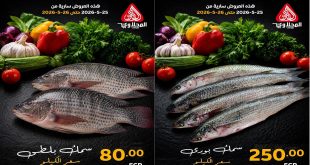 عروض المحلاوى ماركت مهرجان الاسماك 25 و 26 مايو 2026