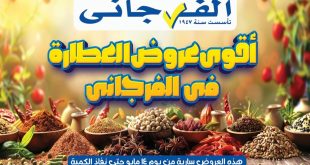 عروض الفرجانى اليوم مهرجان العطارة 15 مايو 2026