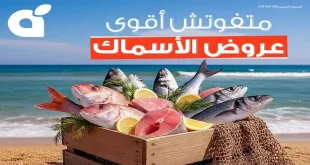 عروض بنده مصر من 14 يونيو حتى 16 يونيو 2026 عروض الاسماك