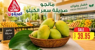 عروض المحلاوى ماركت 18 حتى 20 يوليو 2026