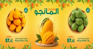 عروض سبينس اليوم مهرجان المانجو من 13 حتى 19 أغسطس 2026