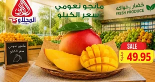 عروض المحلاوى ماركت 20 حتى 22 أغسطس 2026