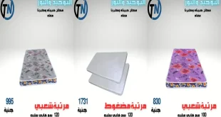 عروض التوحيد و النور على المراتب من 16 سبتمبر 2026