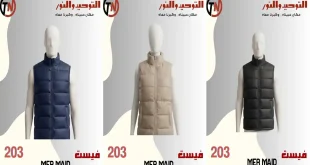 عروض التوحيد و النور على الفيستات من 29 سبتمبر 2026