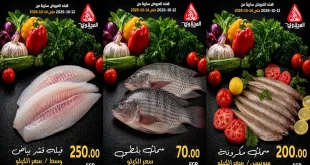 عروض المحلاوى ماركت اليوم 12 – 14 أكتوبر 2026 سمك طازج