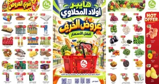 عروض اولاد المحلاوى للخريف 17 – 29 أكتوبر 2026