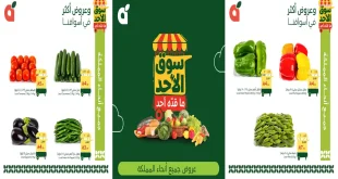 عروض بنده السعودية اليوم سوق الأحد 18 أكتوبر 2026