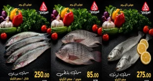 عروض المحلاوى ماركت اليوم 3 أكتوبر 2026 مهرجان الاسماك