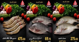 عروض المحلاوى ماركت اليوم 24 وأكتوبر 2026 مهرجان السمك